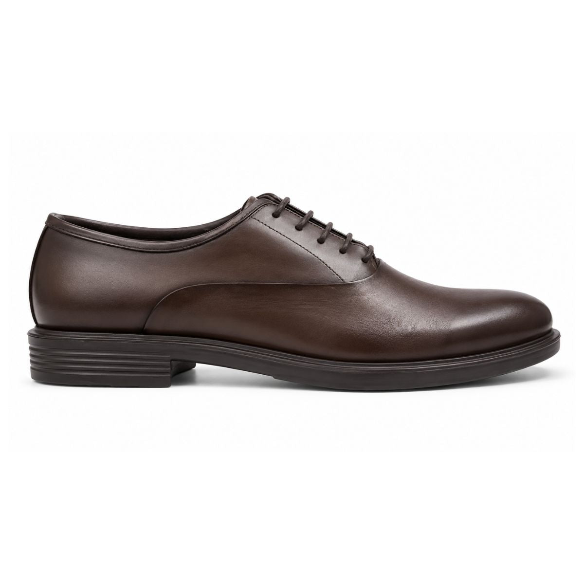 PATINA Stella Classic Oxford Men Code 26-1 - BRN