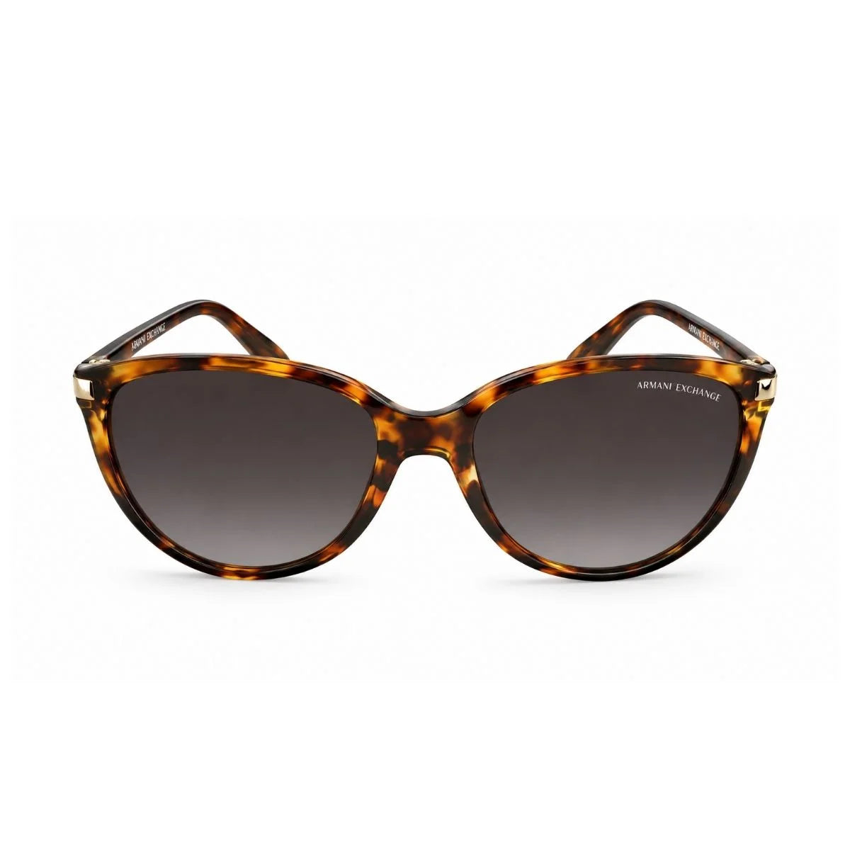 Armani Exchange Round Phantos Frame Sunglasses Women-BRN - Brown