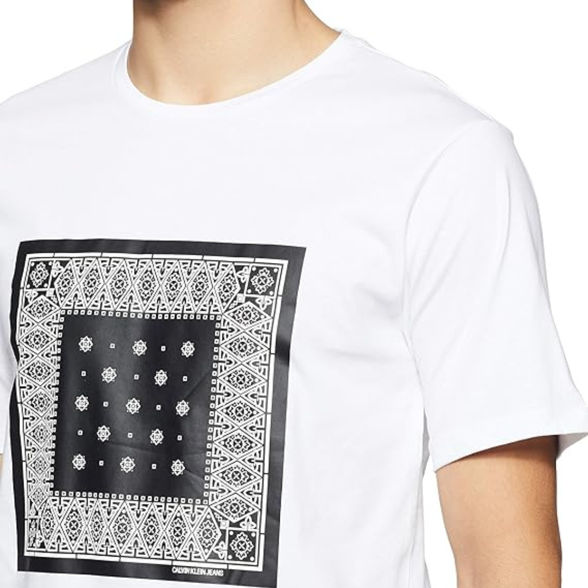 Calvin Klein J30J309593 Printed Regular Fit T-Shirt