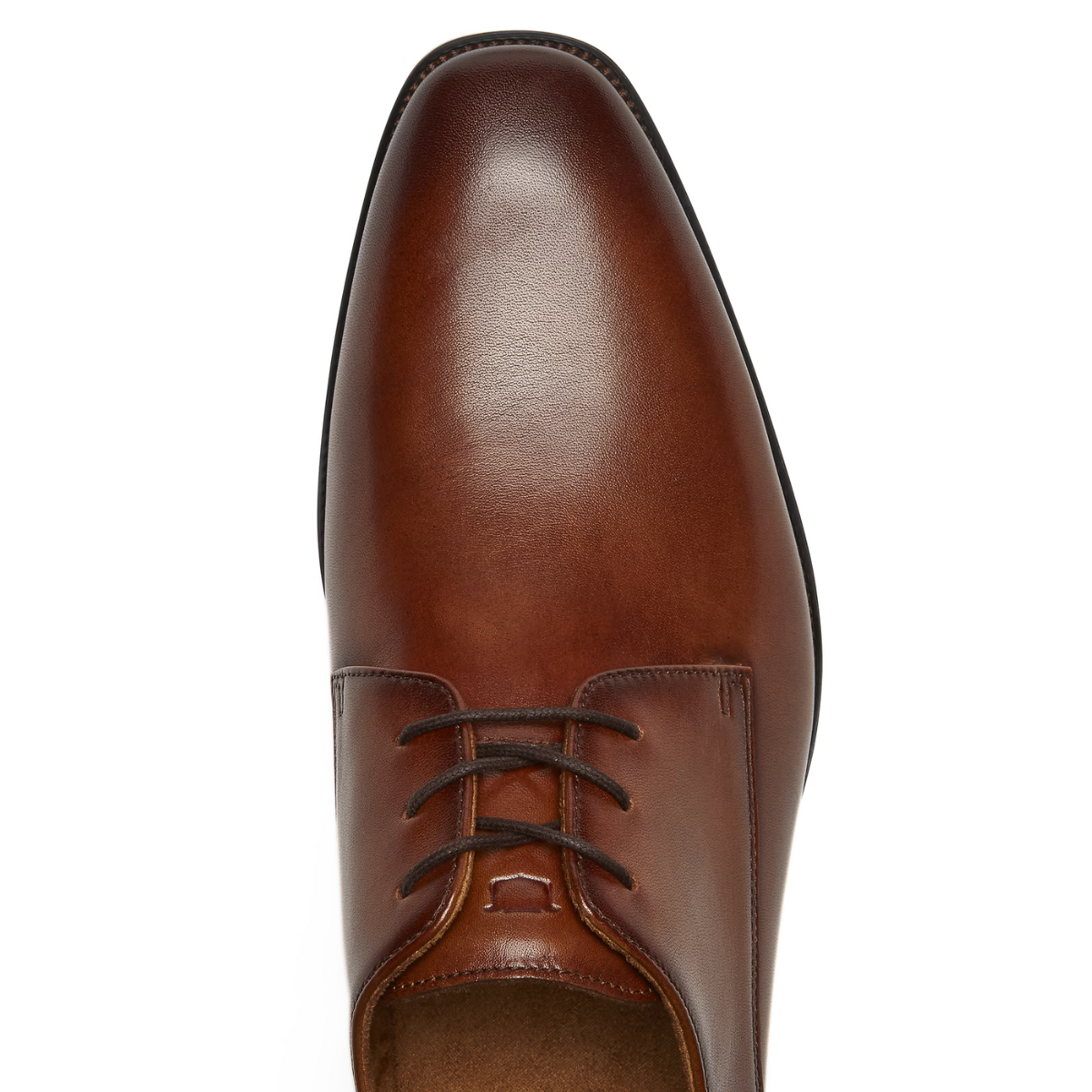 Florsheim Roseto Plain Toe Oxford Men - BRN