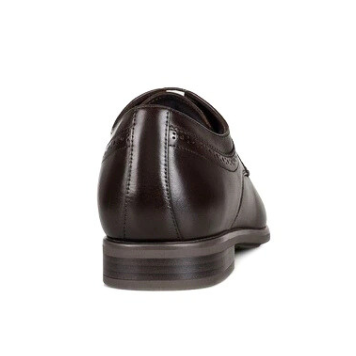 Hush Puppies Nash Oxford Shoes Men - BRN